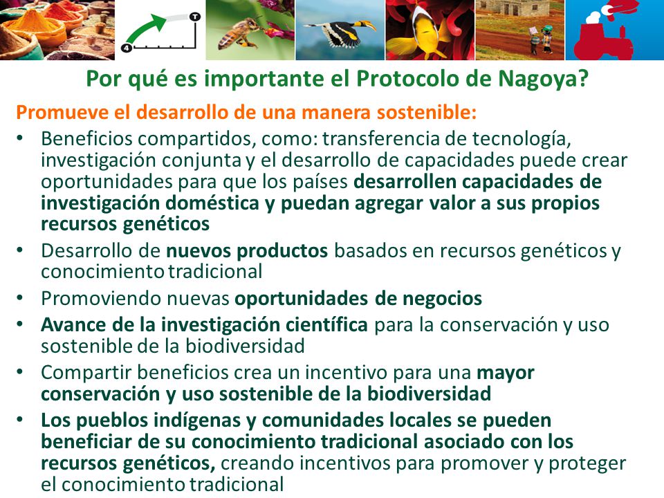 Por qué es importante el Protocolo de Nagoya