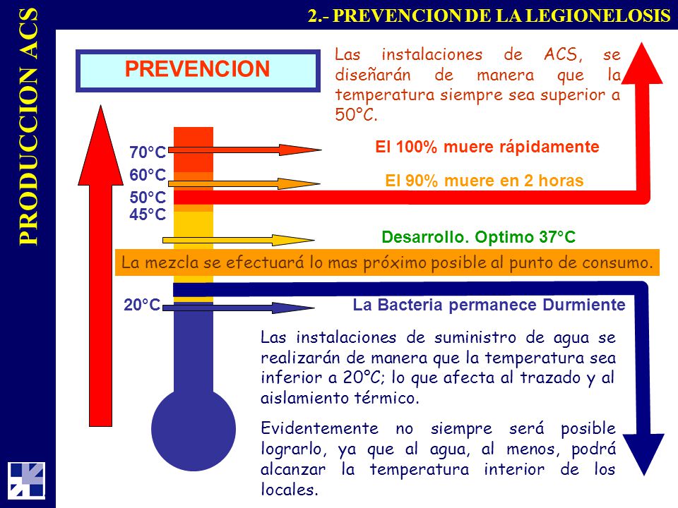 La Bacteria permanece Durmiente