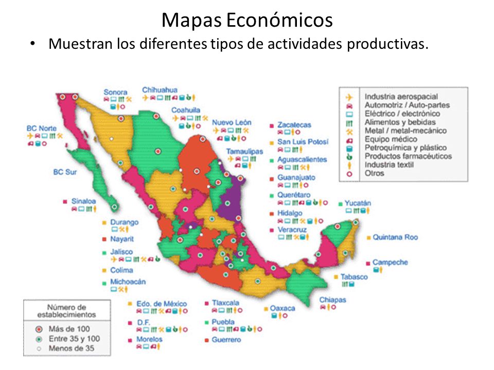 Mapas Económicos Muestran los diferentes tipos de actividades productivas.