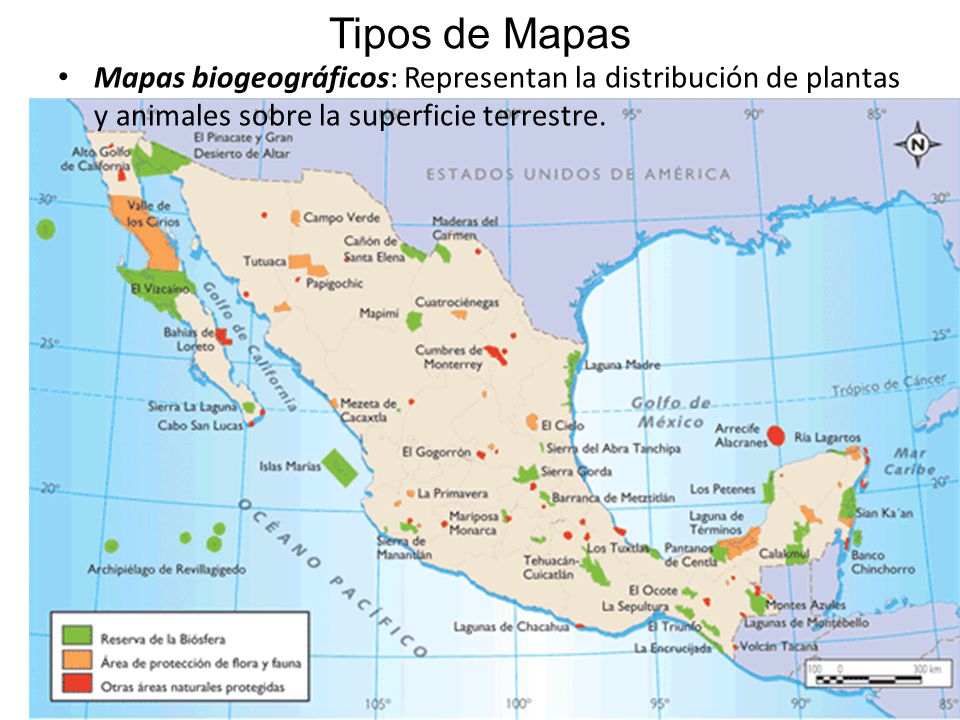 Tipos de Mapas Mapas biogeográficos: Representan la distribución de plantas y animales sobre la superficie terrestre.