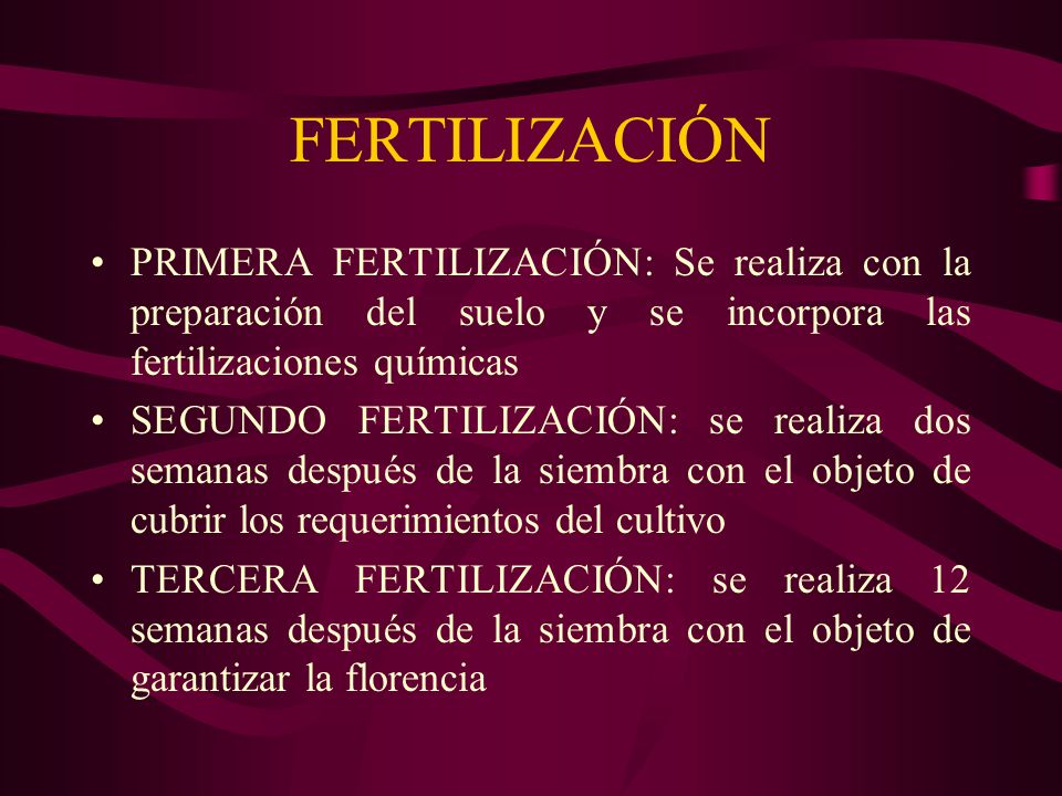 FERTILIZACIÓN PRIMERA FERTILIZACIÓN: Se realiza con la preparación del suelo y se incorpora las fertilizaciones químicas.