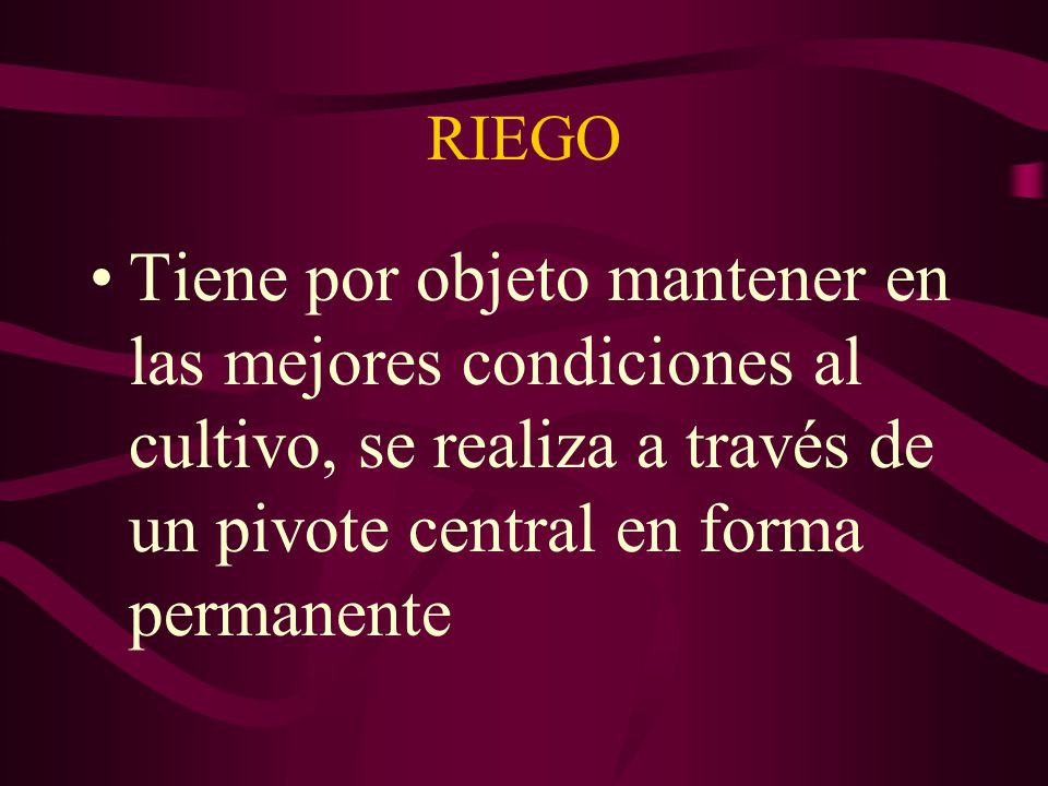 RIEGO Tiene por objeto mantener en las mejores condiciones al cultivo, se realiza a través de un pivote central en forma permanente.