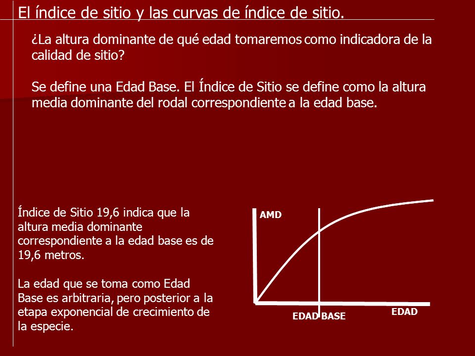 El índice de sitio y las curvas de índice de sitio.