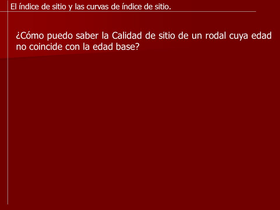 El índice de sitio y las curvas de índice de sitio.