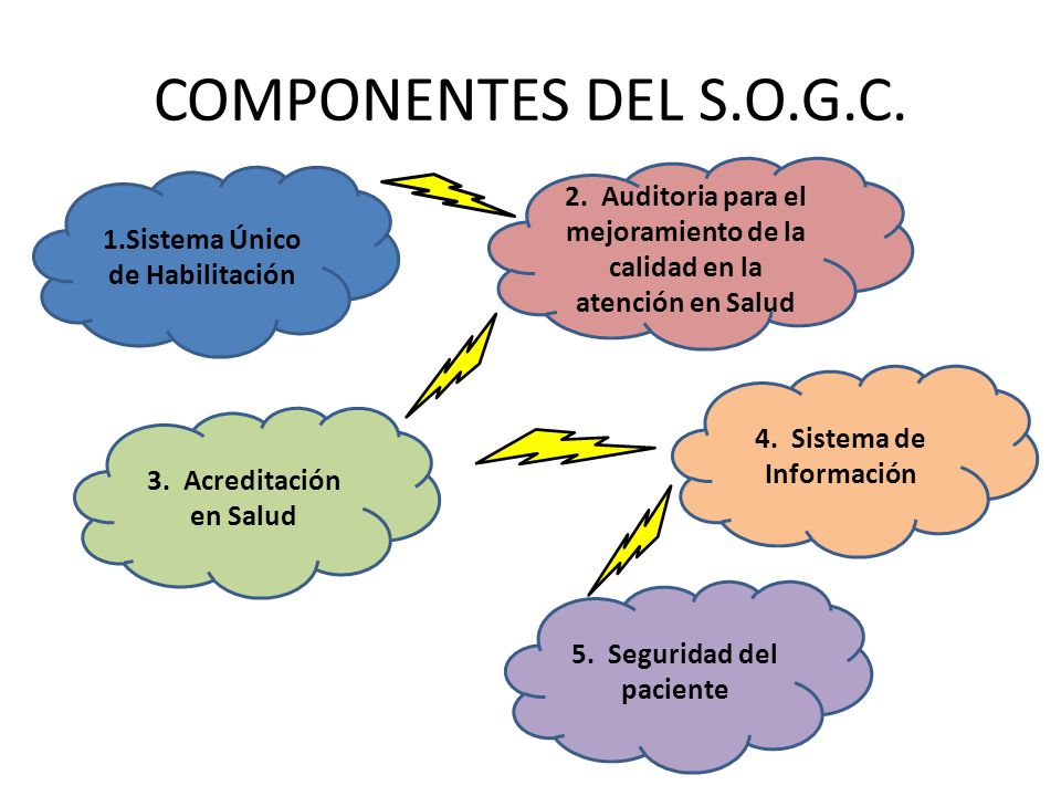 COMPONENTES DEL S.O.G.C. 2. Auditoria para el mejoramiento de la calidad en la atención en Salud. 1.Sistema Único de Habilitación.