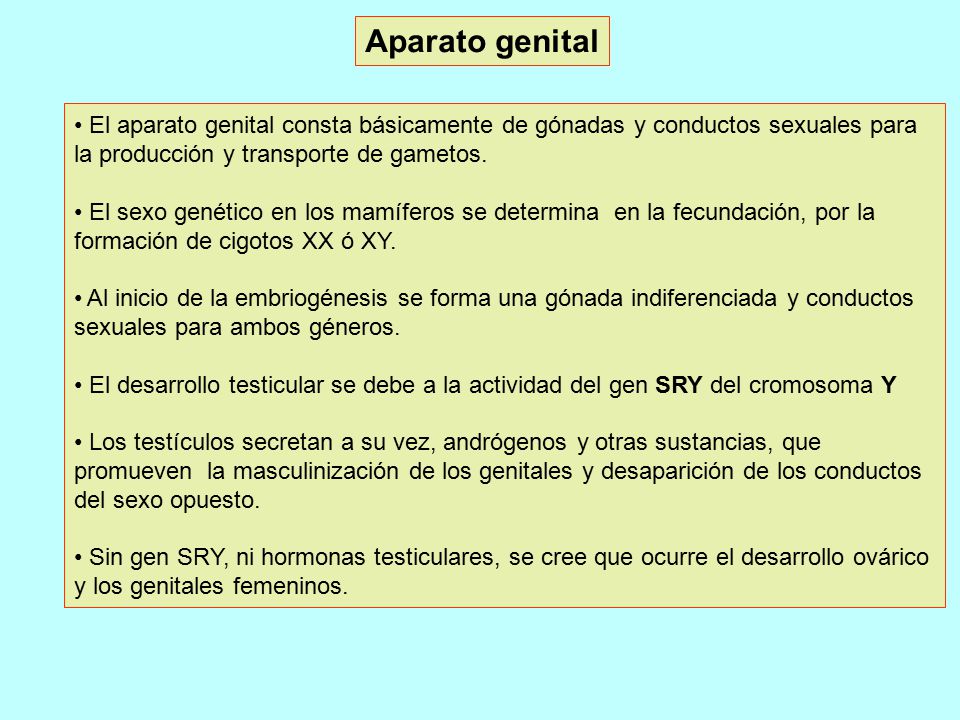 Aparato genital El aparato genital consta básicamente de gónadas y conductos sexuales para la producción y transporte de gametos.