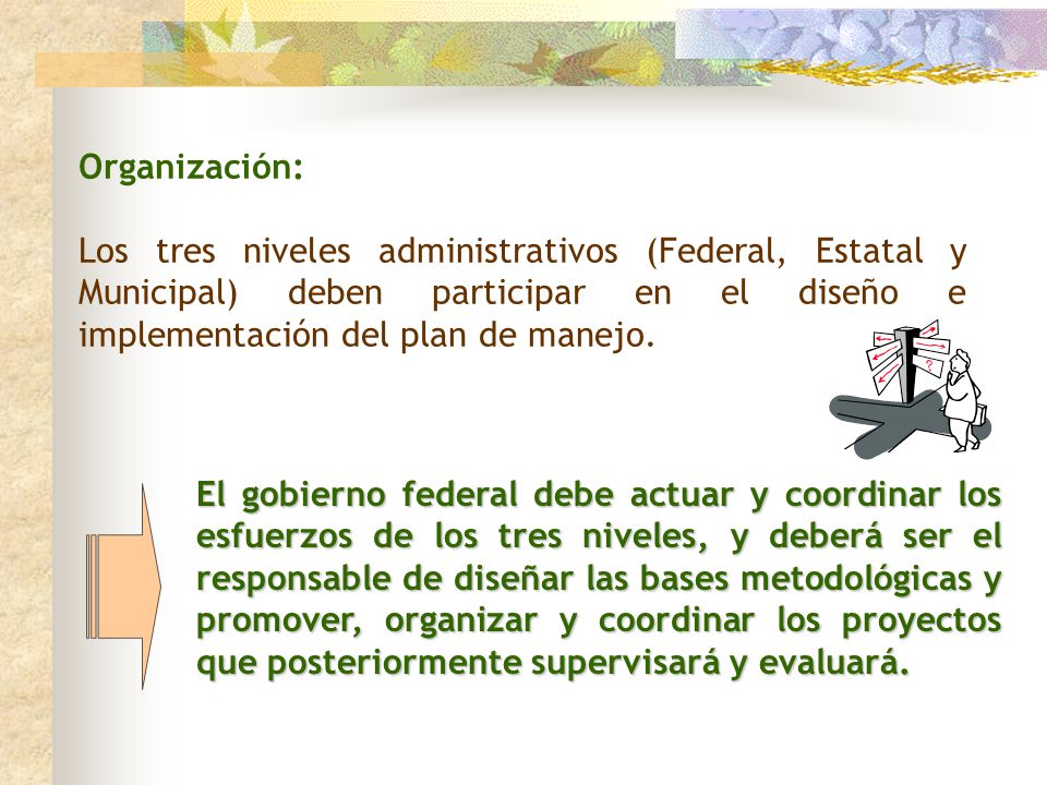 Organización: Los tres niveles administrativos (Federal, Estatal y Municipal) deben participar en el diseño e implementación del plan de manejo.