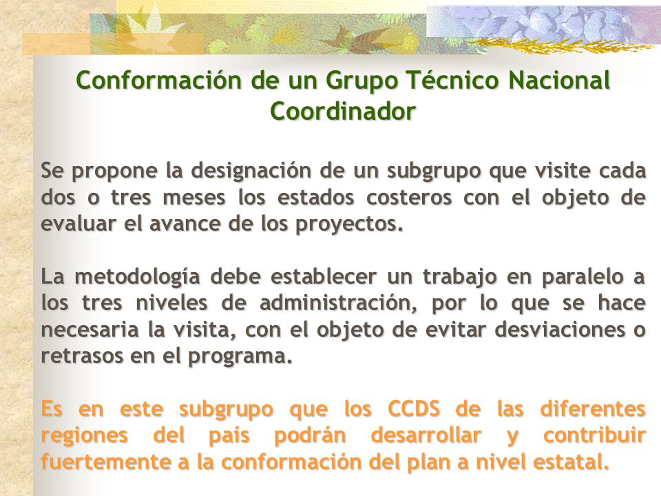Conformación de un Grupo Técnico Nacional Coordinador