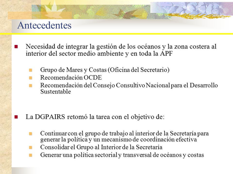 Antecedentes Necesidad de integrar la gestión de los océanos y la zona costera al interior del sector medio ambiente y en toda la APF.
