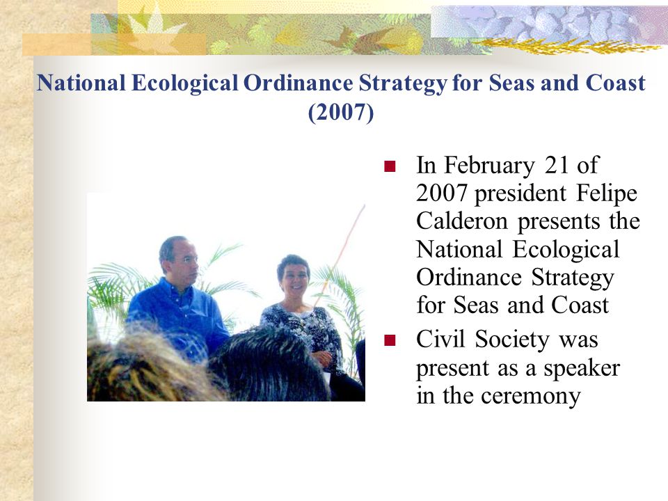 National Ecological Ordinance Strategy for Seas and Coast (2007)