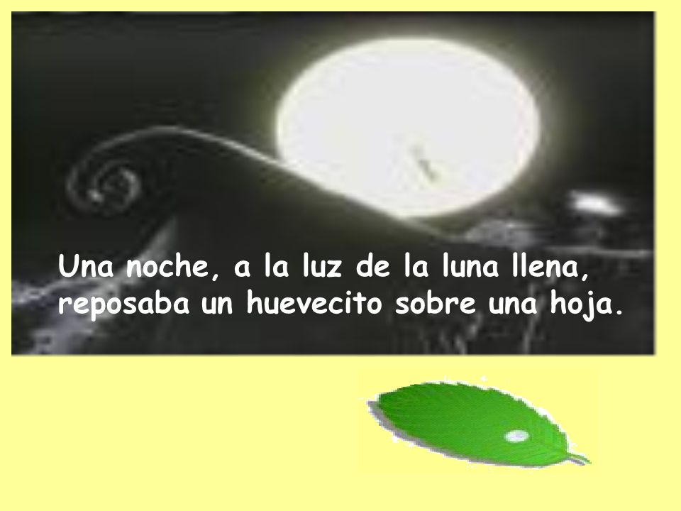 Una noche, a la luz de la luna llena, reposaba un huevecito sobre una hoja.