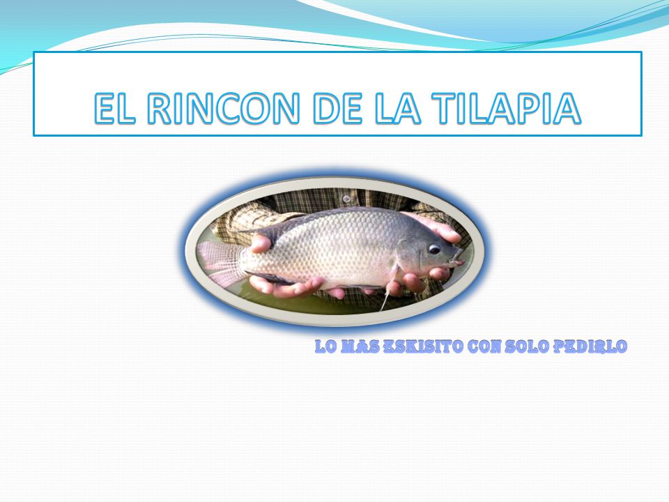 EL RINCON DE LA TILAPIA LO MAS ESKISITO CON SOLO PEDIRLO