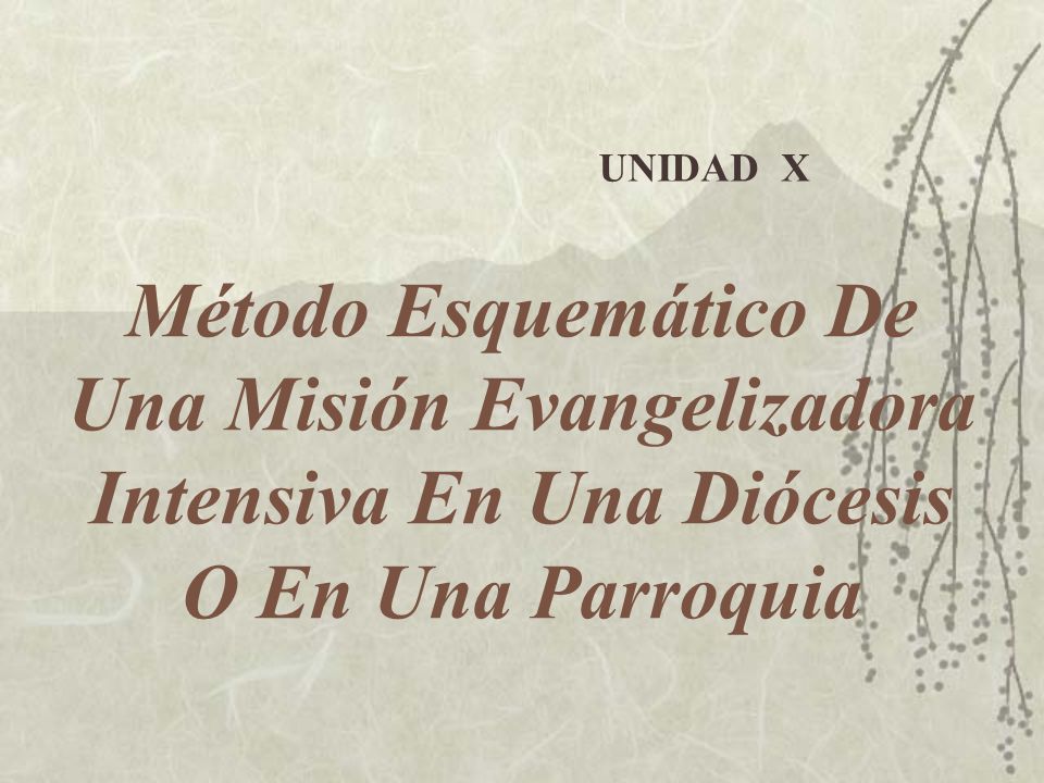 UNIDAD X Método Esquemático De Una Misión Evangelizadora Intensiva En Una Diócesis O En Una Parroquia.