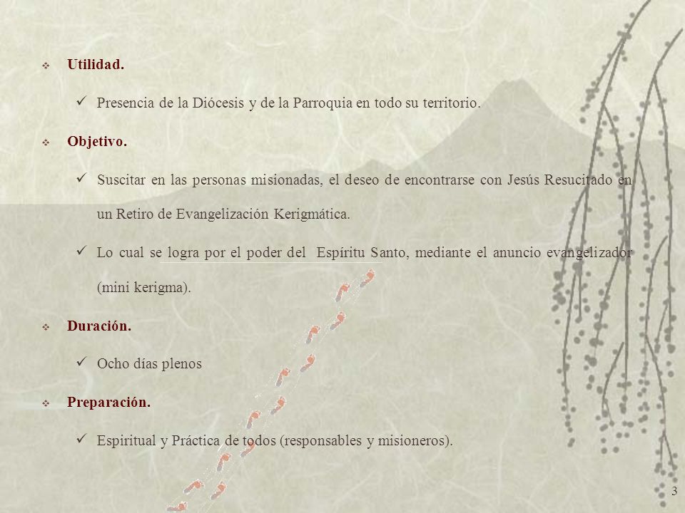 Utilidad. Presencia de la Diócesis y de la Parroquia en todo su territorio. Objetivo.
