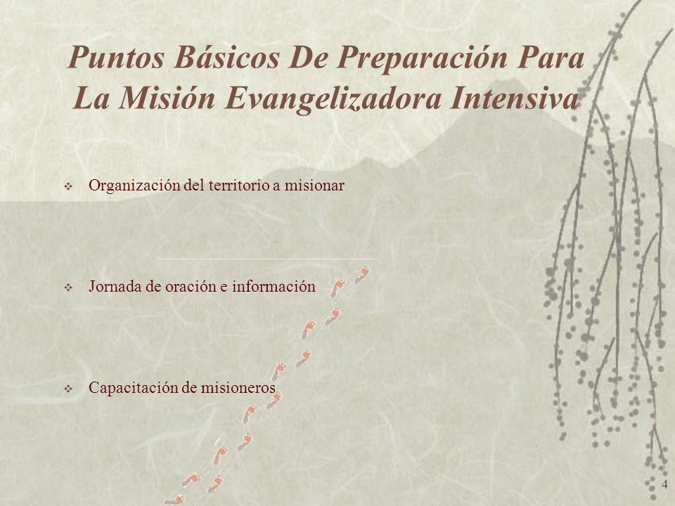 Puntos Básicos De Preparación Para La Misión Evangelizadora Intensiva