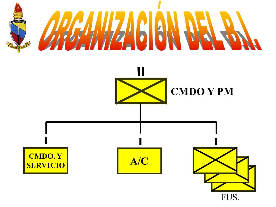 ORGANIZACIÓN DEL B.I. CMDO. Y SERVICIO A/C CMDO Y PM FUS.