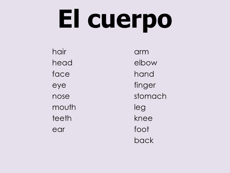 El cuerpo hair head face eye nose mouth teeth ear arm elbow hand finger stomach leg knee foot back