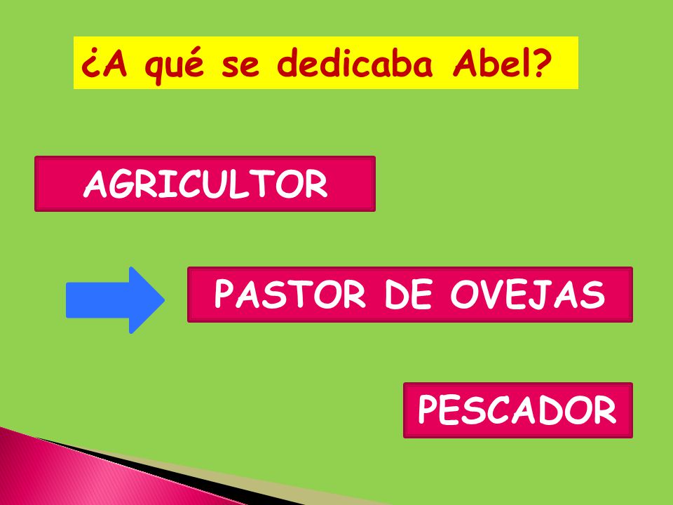 ¿A qué se dedicaba Abel AGRICULTOR PASTOR DE OVEJAS PESCADOR