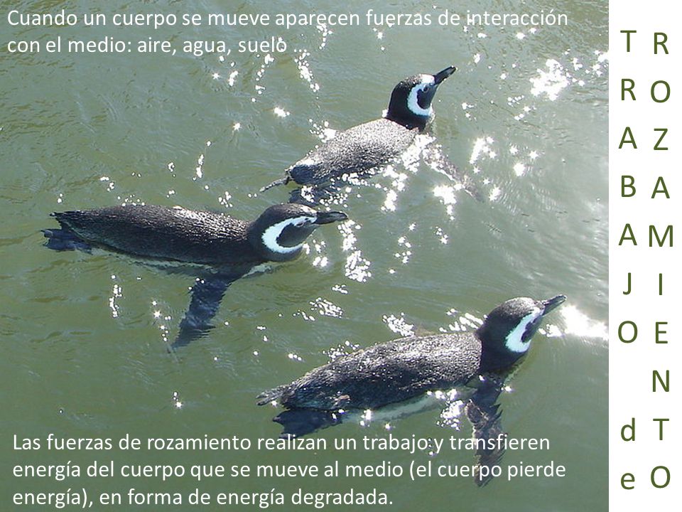Cuando un cuerpo se mueve aparecen fuerzas de interacción con el medio: aire, agua, suelo …