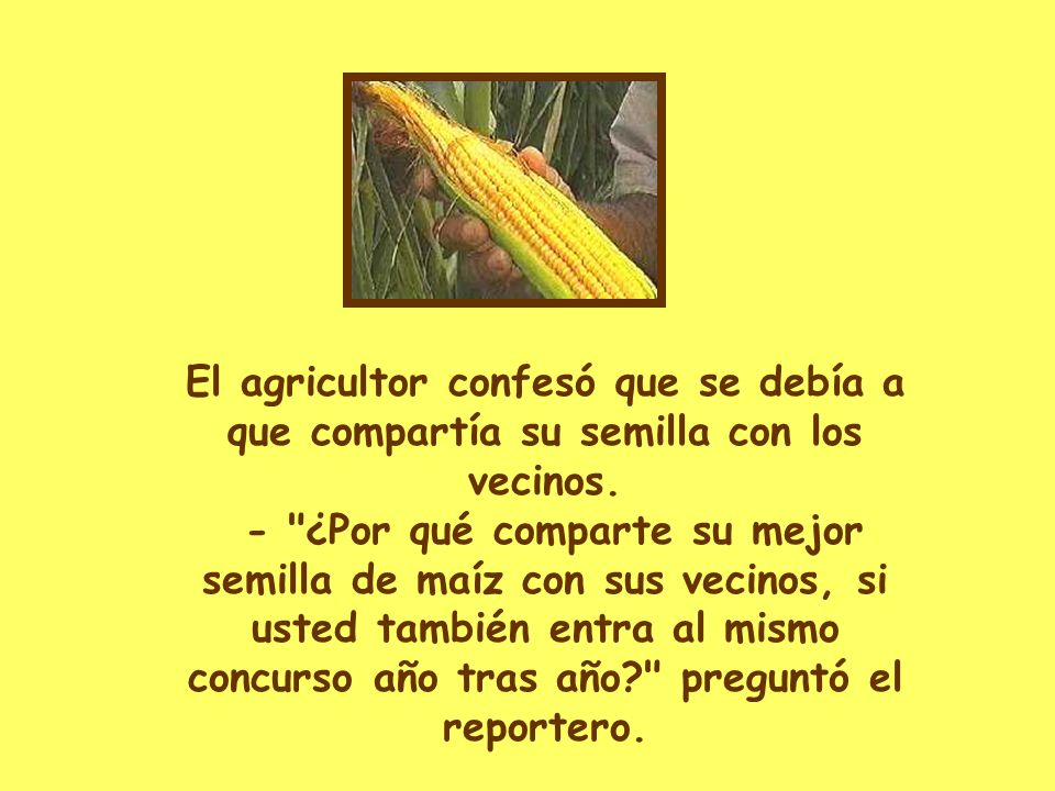 El agricultor confesó que se debía a que compartía su semilla con los vecinos.