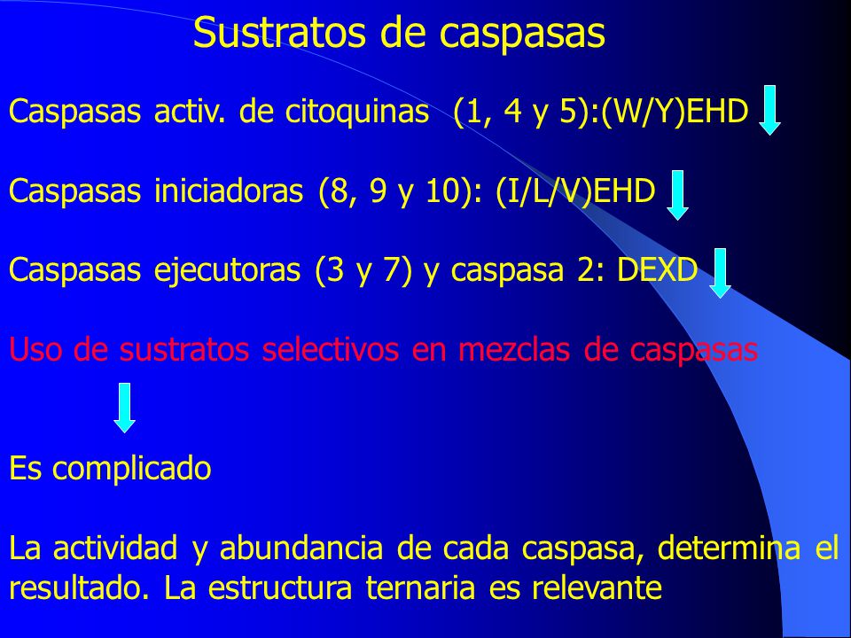 Sustratos de caspasas Caspasas activ. de citoquinas (1, 4 y 5):(W/Y)EHD. Caspasas iniciadoras (8, 9 y 10): (I/L/V)EHD.