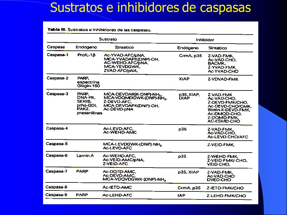 Sustratos e inhibidores de caspasas