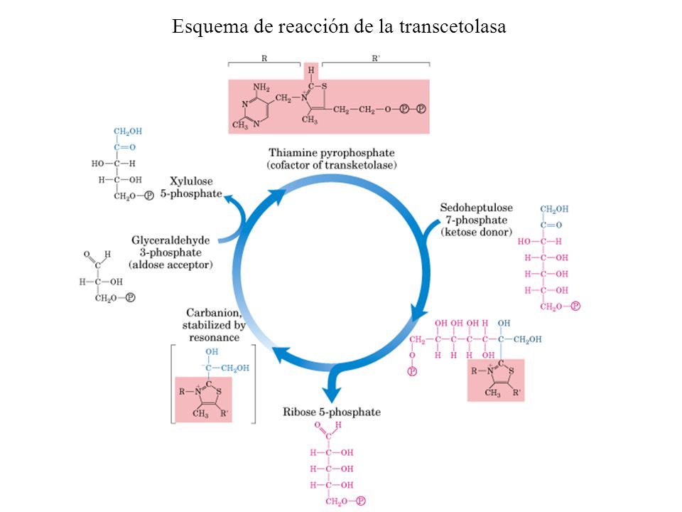Esquema de reacción de la transcetolasa