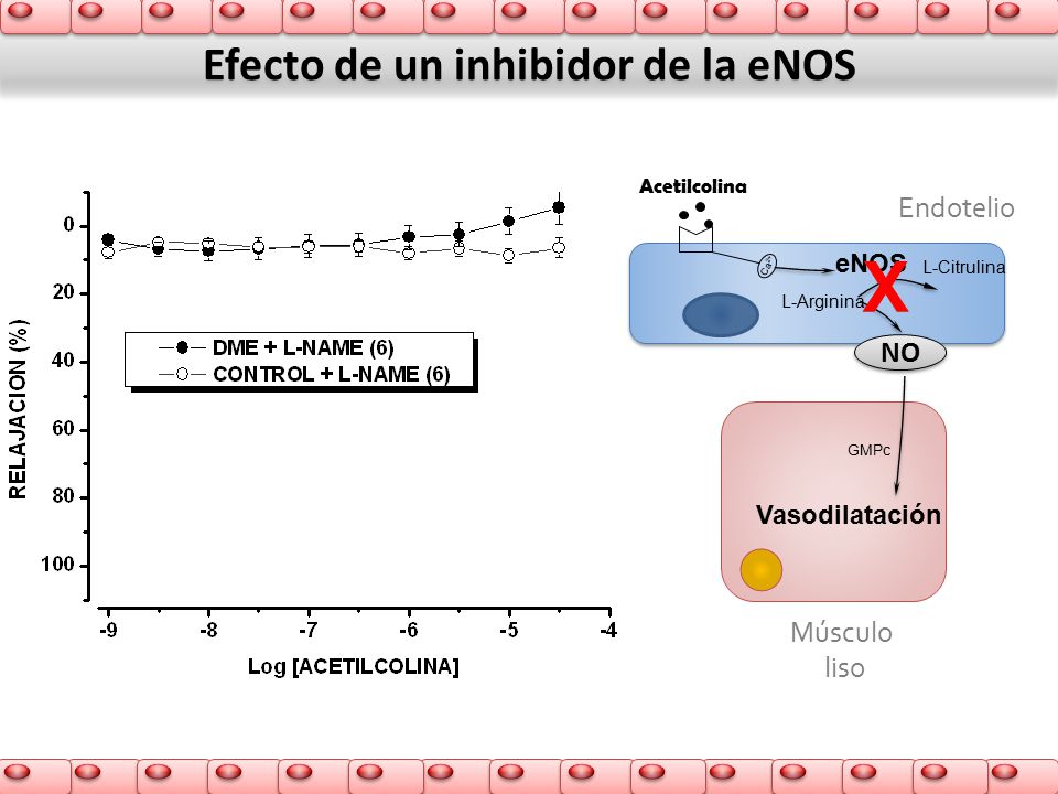 Efecto de un inhibidor de la eNOS