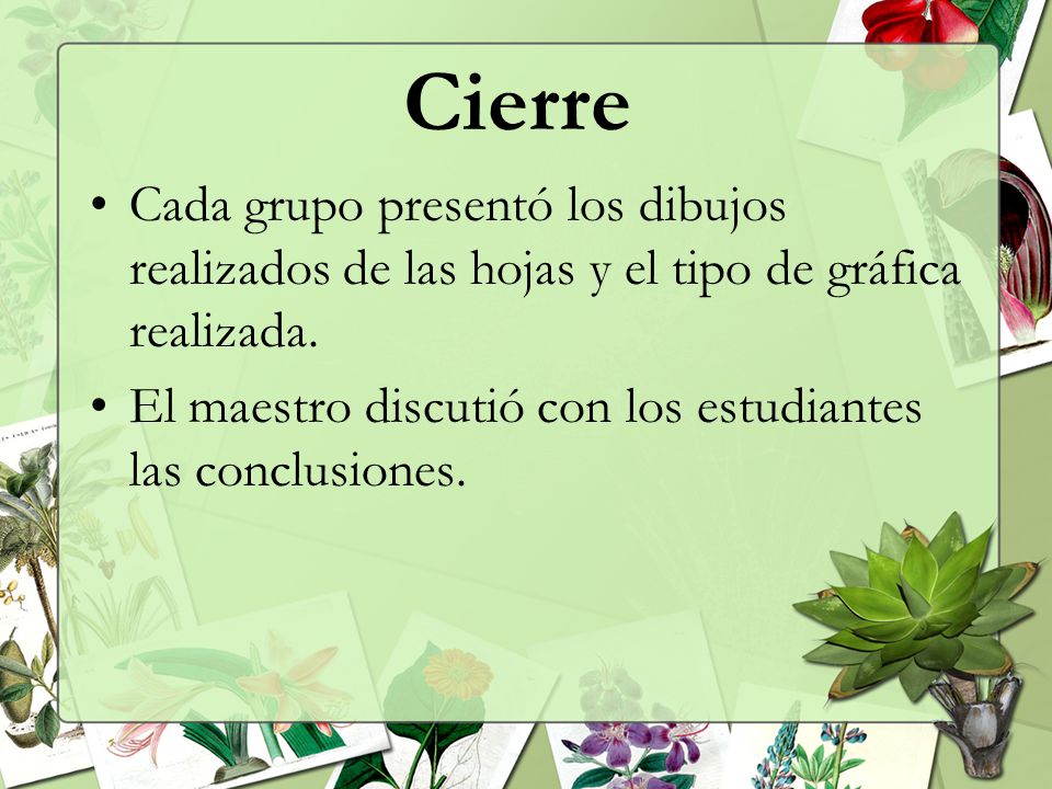 Cierre Cada grupo presentó los dibujos realizados de las hojas y el tipo de gráfica realizada.
