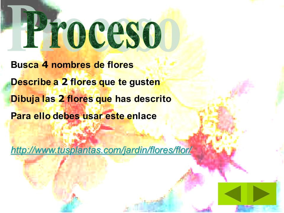 Proceso Busca 4 nombres de flores Describe a 2 flores que te gusten