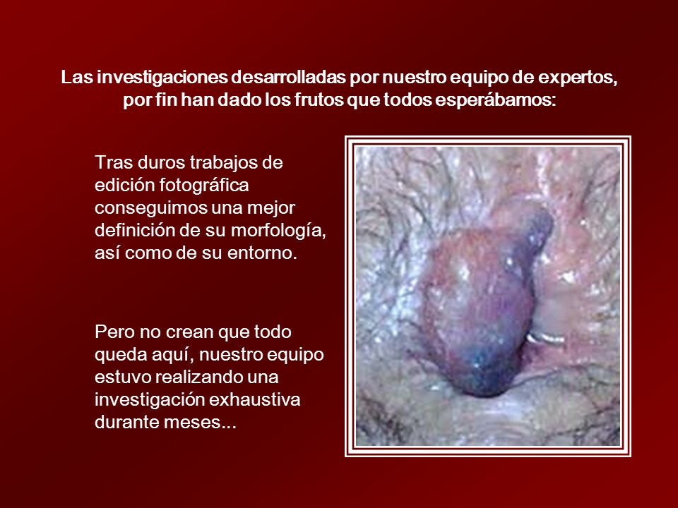 Las investigaciones desarrolladas por nuestro equipo de expertos, por fin han dado los frutos que todos esperábamos: