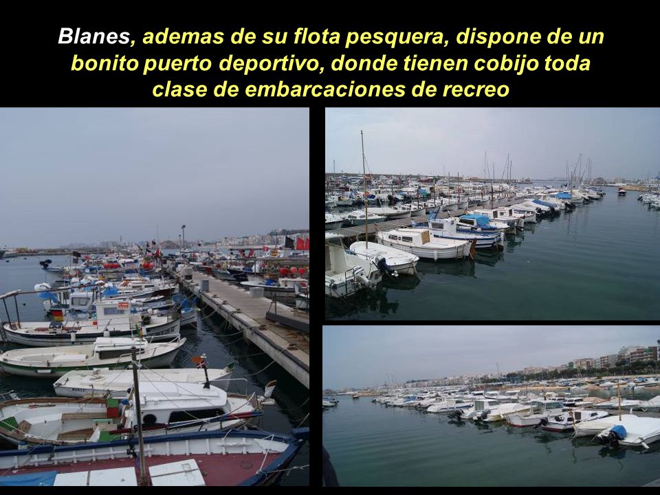 Blanes, ademas de su flota pesquera, dispone de un bonito puerto deportivo, donde tienen cobijo toda clase de embarcaciones de recreo