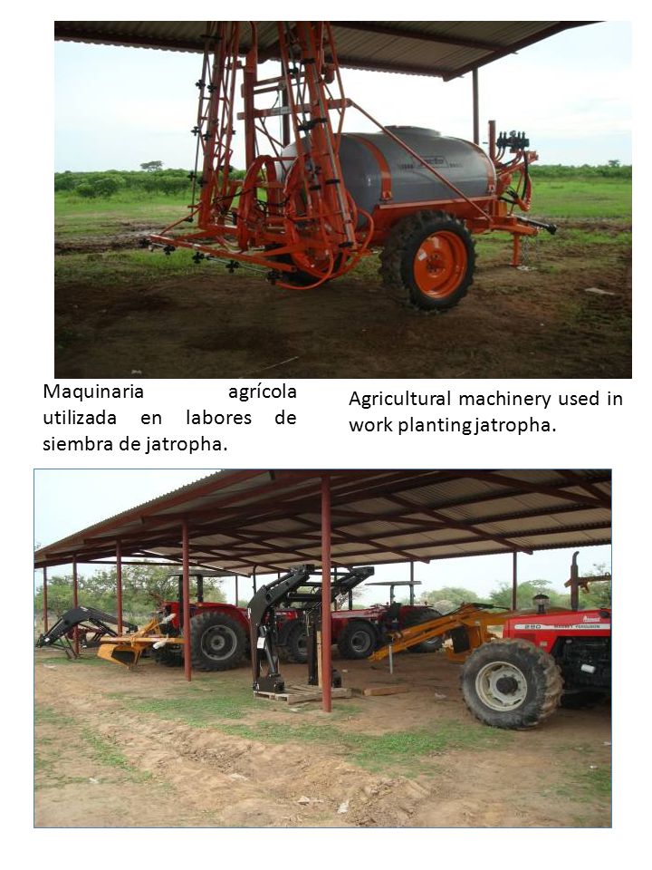 Maquinaria agrícola utilizada en labores de siembra de jatropha.