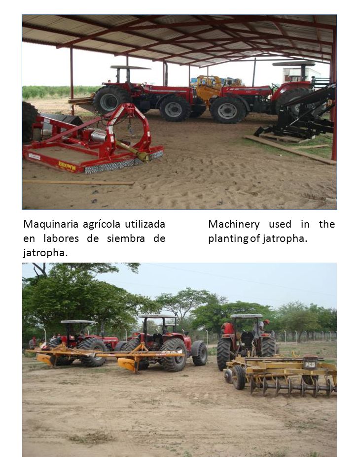 Maquinaria agrícola utilizada en labores de siembra de jatropha.