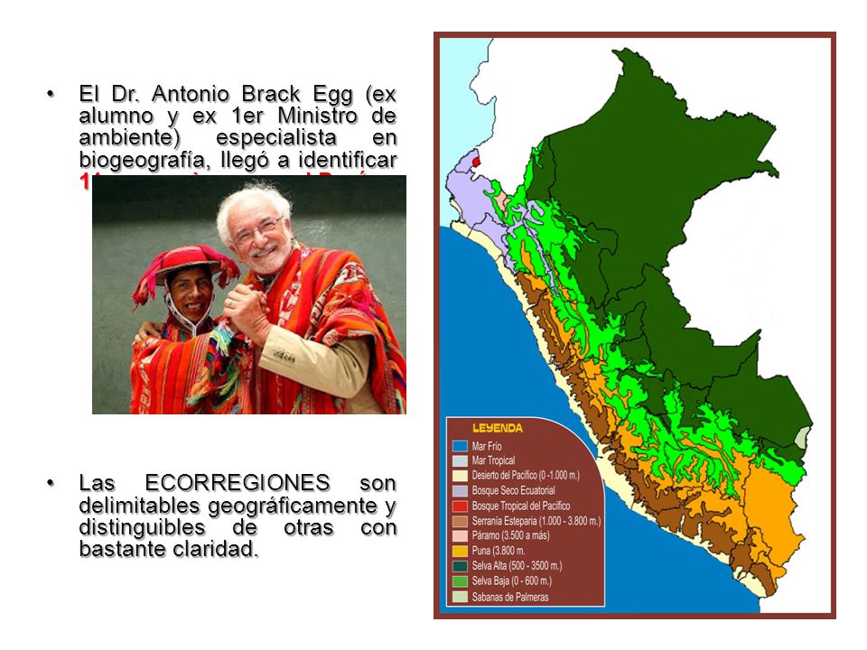 El Dr. Antonio Brack Egg (ex alumno y ex 1er Ministro de ambiente) especialista en biogeografía, llegó a identificar 11 ecorregiones en el Perú.