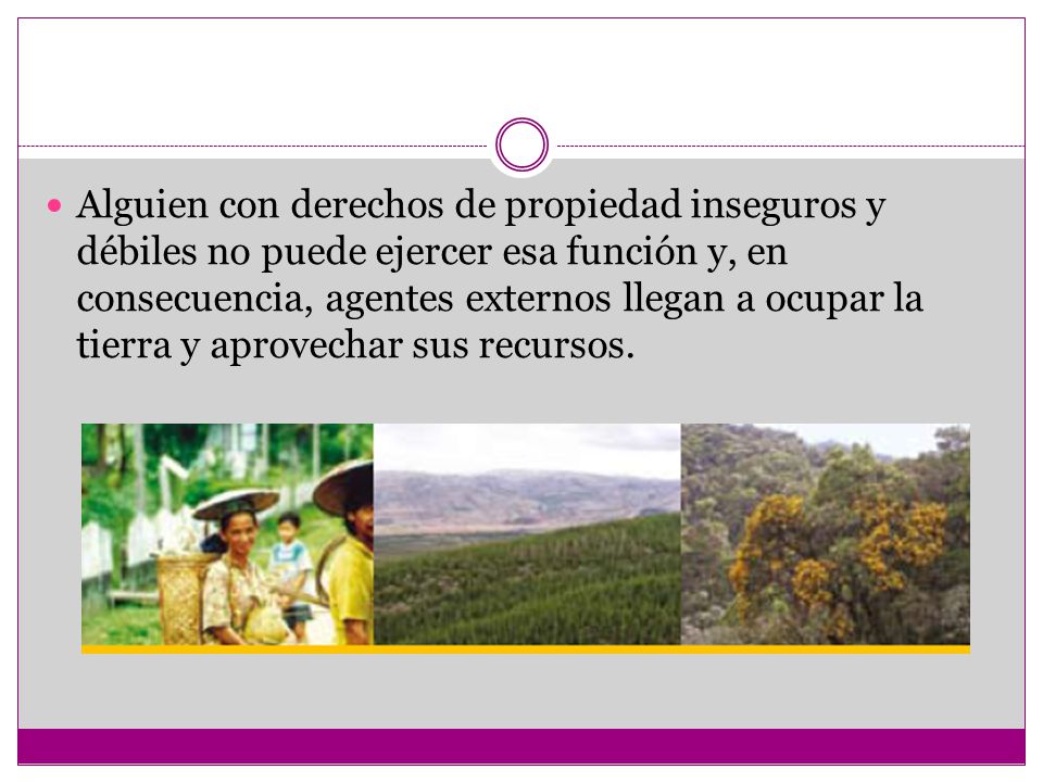 Alguien con derechos de propiedad inseguros y débiles no puede ejercer esa función y, en consecuencia, agentes externos llegan a ocupar la tierra y aprovechar sus recursos.