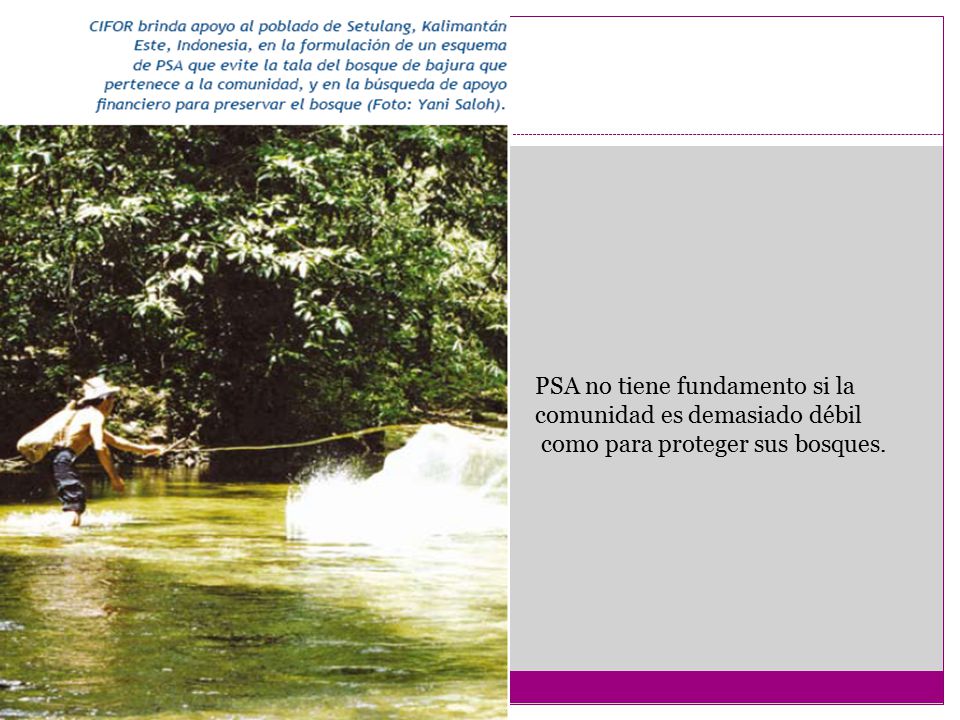 PSA no tiene fundamento si la comunidad es demasiado débil