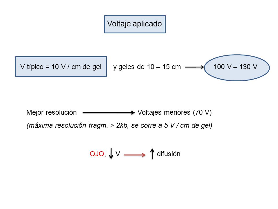 Voltaje aplicado 100 V – 130 V. V típico = 10 V / cm de gel y geles de 10 – 15 cm. Mejor resolución.