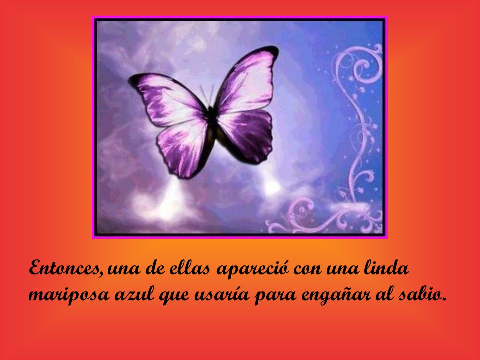 Entonces, una de ellas apareció con una linda mariposa azul que usaría para engañar al sabio.
