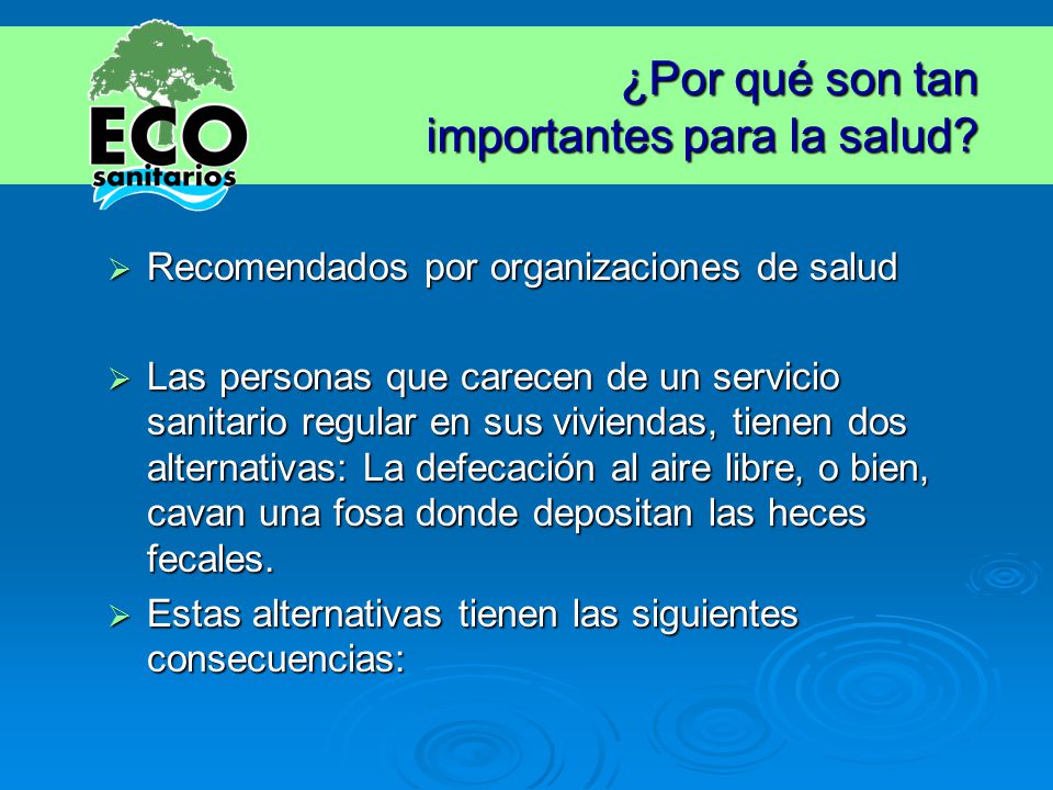 ¿Por qué son tan importantes para la salud