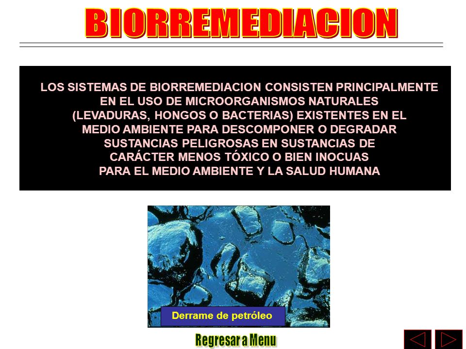 BIORREMEDIACION LOS SISTEMAS DE BIORREMEDIACION CONSISTEN PRINCIPALMENTE. EN EL USO DE MICROORGANISMOS NATURALES.