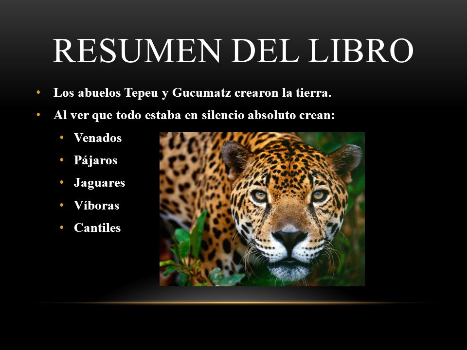 RESUMEN DEL LIBRO Los abuelos Tepeu y Gucumatz crearon la tierra.