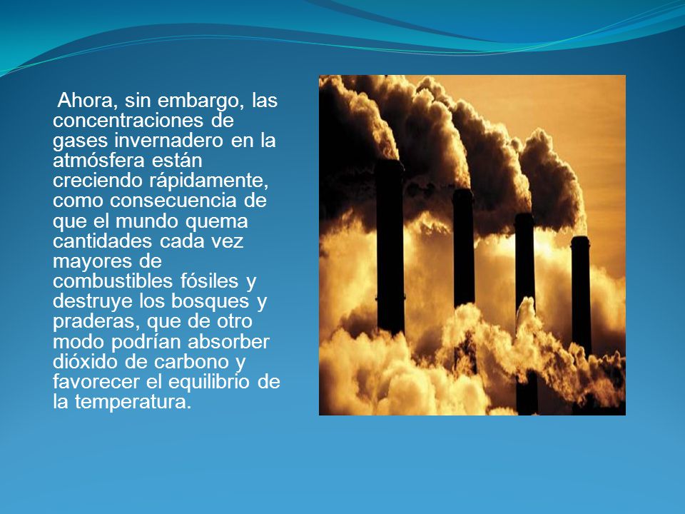 Ahora, sin embargo, las concentraciones de gases invernadero en la atmósfera están creciendo rápidamente, como consecuencia de que el mundo quema cantidades cada vez mayores de combustibles fósiles y destruye los bosques y praderas, que de otro modo podrían absorber dióxido de carbono y favorecer el equilibrio de la temperatura.