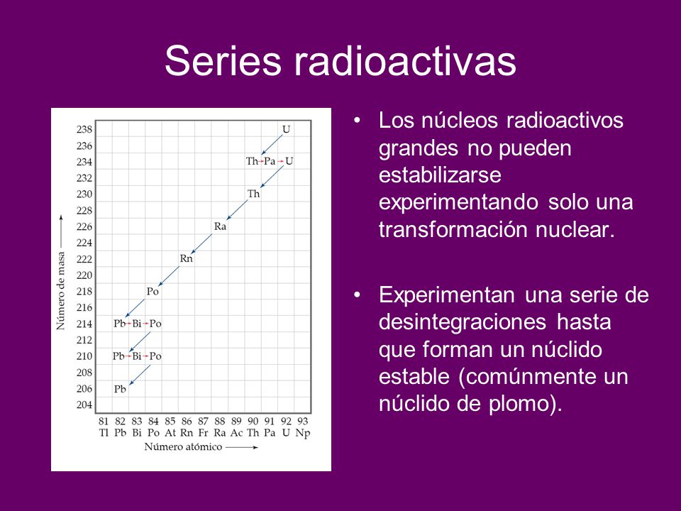 Series radioactivas Los núcleos radioactivos grandes no pueden estabilizarse experimentando solo una transformación nuclear.