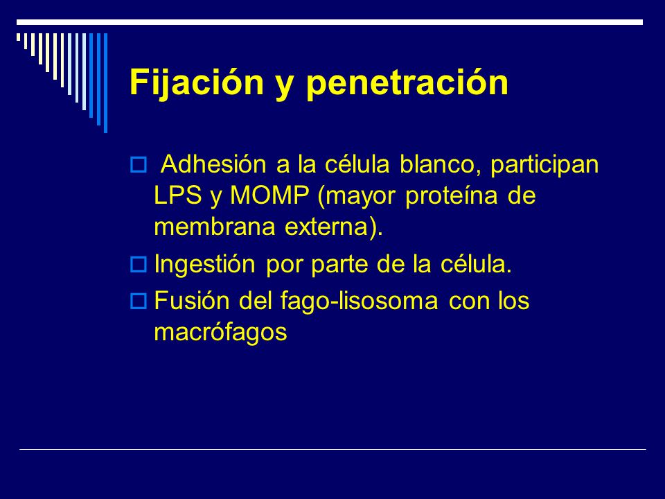 Fijación y penetración