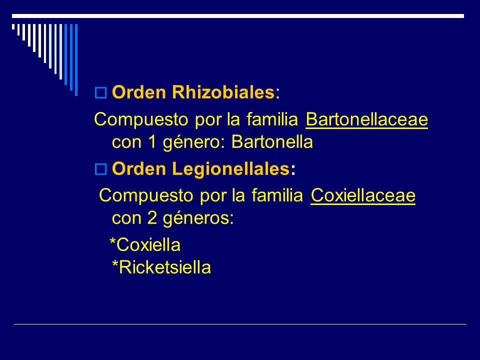 Orden Rhizobiales: Compuesto por la familia Bartonellaceae con 1 género: Bartonella. Orden Legionellales: