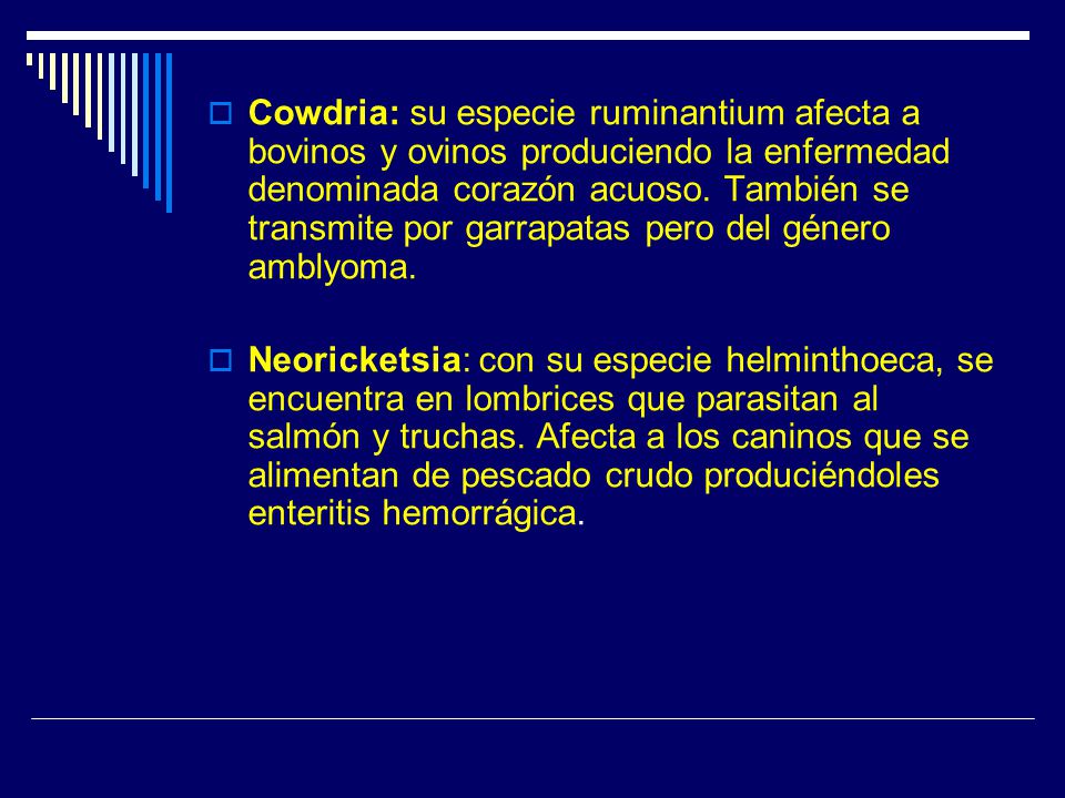 Cowdria: su especie ruminantium afecta a bovinos y ovinos produciendo la enfermedad denominada corazón acuoso. También se transmite por garrapatas pero del género amblyoma.