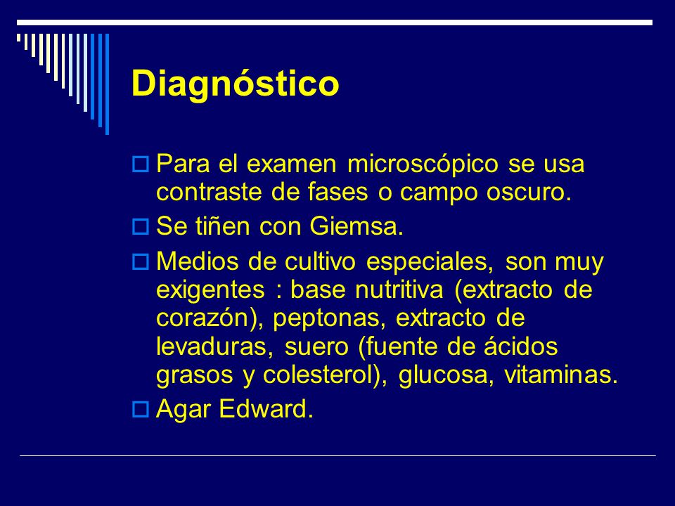 Diagnóstico Para el examen microscópico se usa contraste de fases o campo oscuro. Se tiñen con Giemsa.