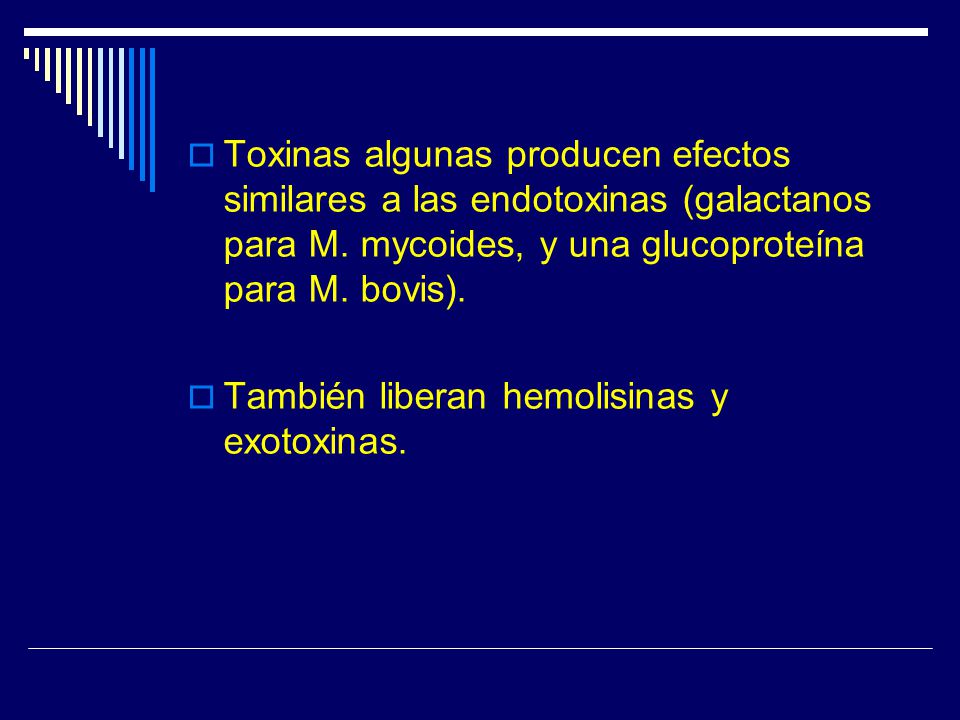 Toxinas algunas producen efectos similares a las endotoxinas (galactanos para M. mycoides, y una glucoproteína para M. bovis).