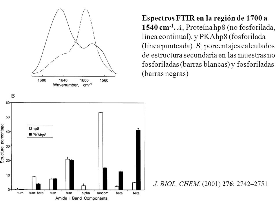 Espectros FTIR en la región de 1700 a 1540 cm-1